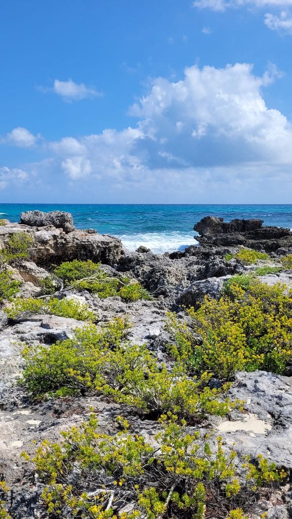 isla-mujeres-que-faire-15