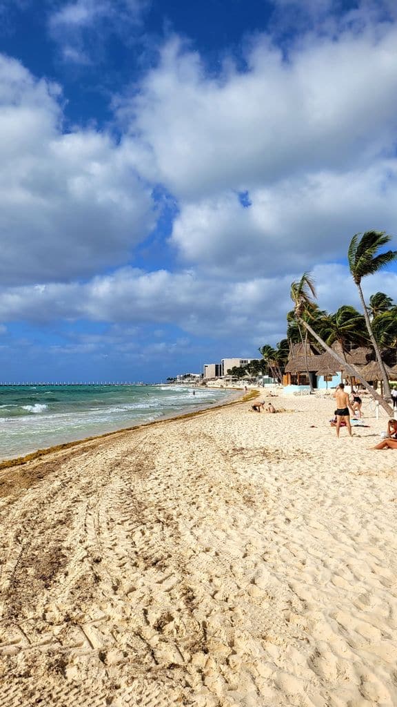 playa-del-carmen-mamita-beach