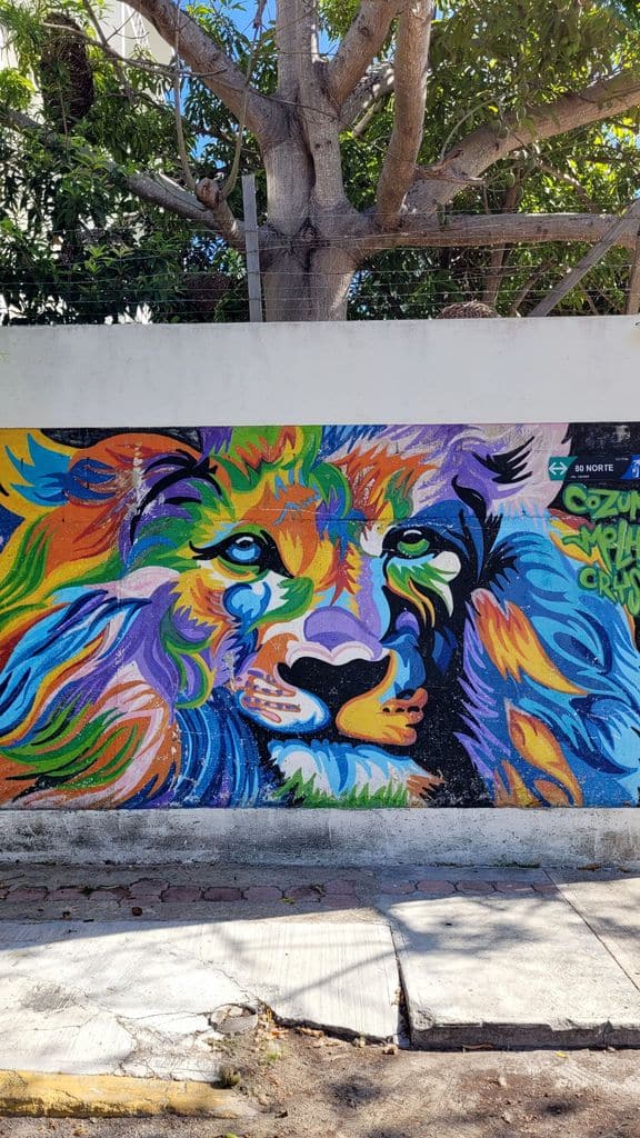 playa-del-carmen-street-art-lion