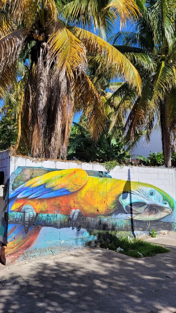 playa-del-carmen-street-art-perroquet