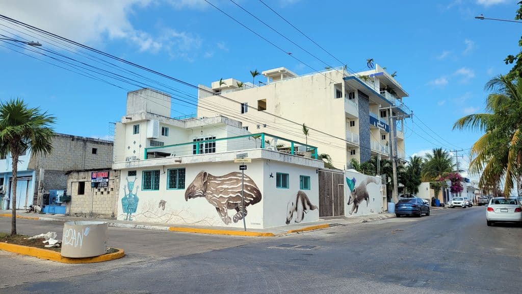 playa-del-carmen-street-art