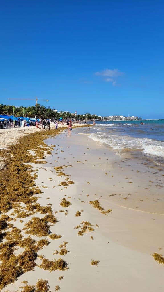 playa-del-carmen-top-plage