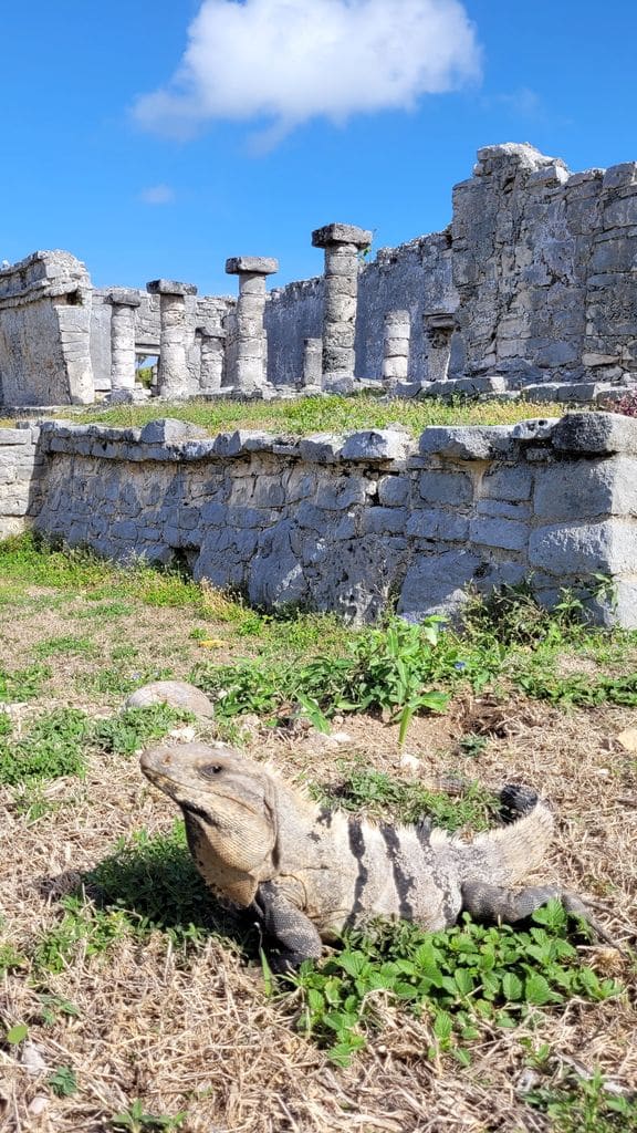 road-trip-mexique-yucatan-quintana-roo-10