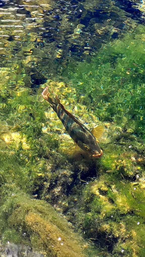 xel-ha-parc-mexique-10