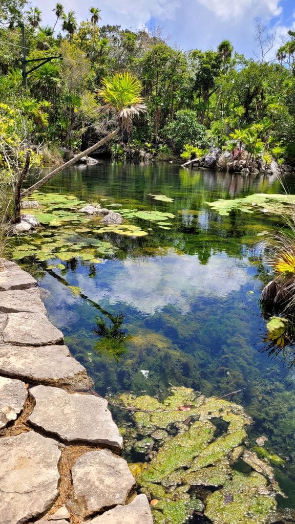 xel-ha-parc-mexique-9