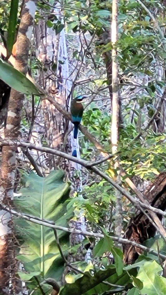 cenote-xcanche-ek-balam-6