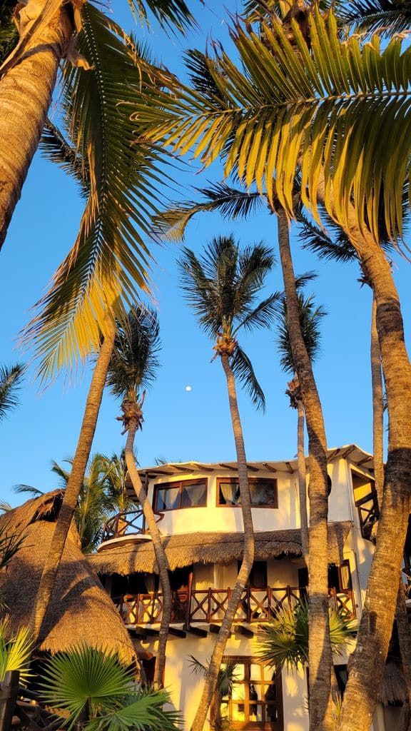 holbox-hotel-la-palapa-3