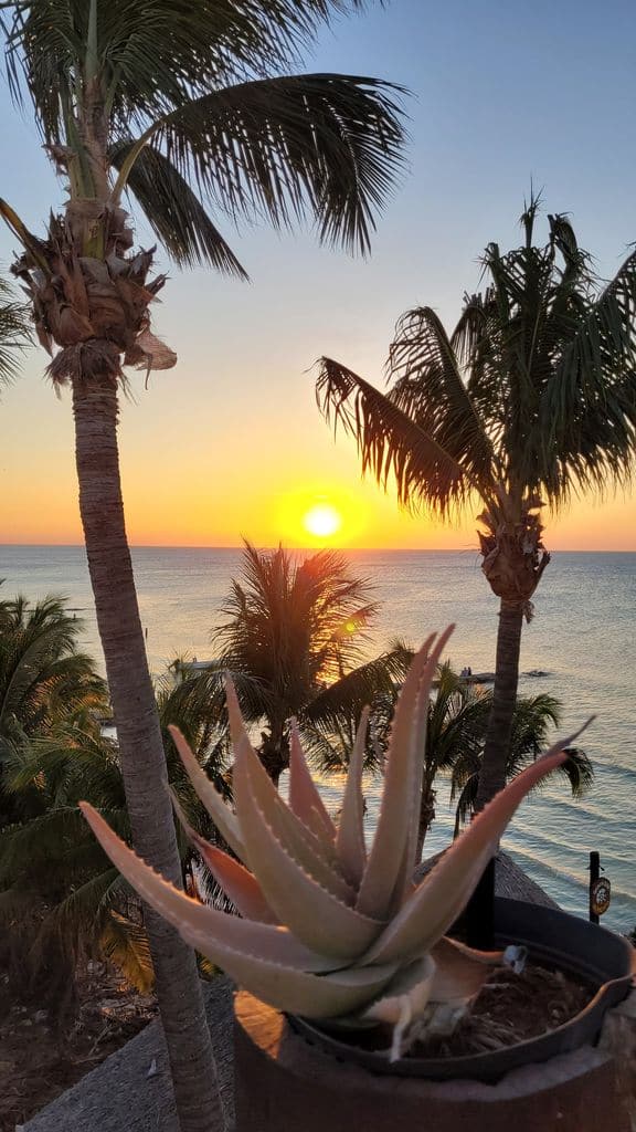 holbox-hotel-la-palapa-coucher-soleil