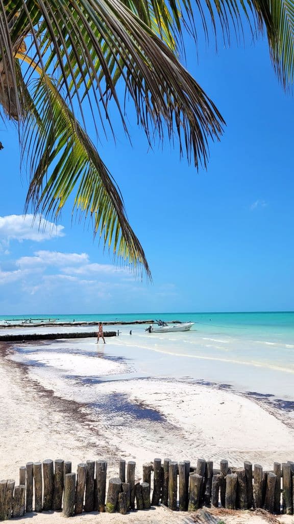 holbox-plage-hotel-la-palapa-beachfront