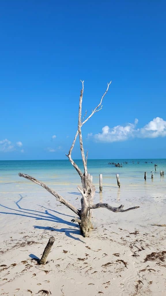 holbox-top-plage-3