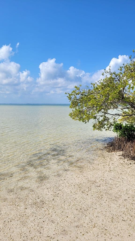 holbox-top-plage-5