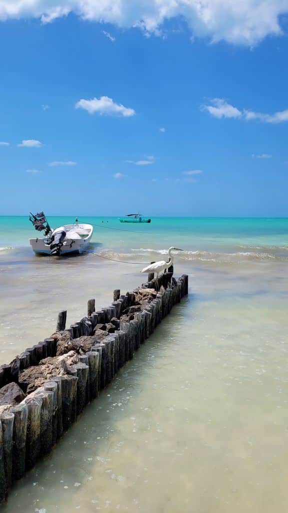 holbox-top-plage-9