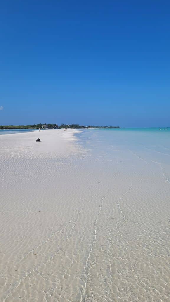 holbox-top-plage-punta-mosquito-2