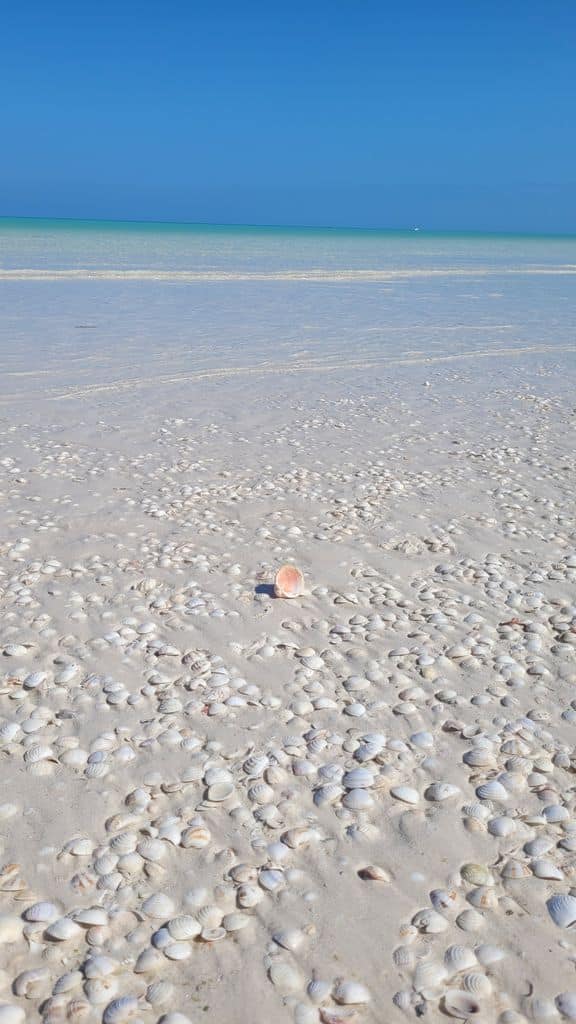 holbox-top-plage-punta-mosquito-3