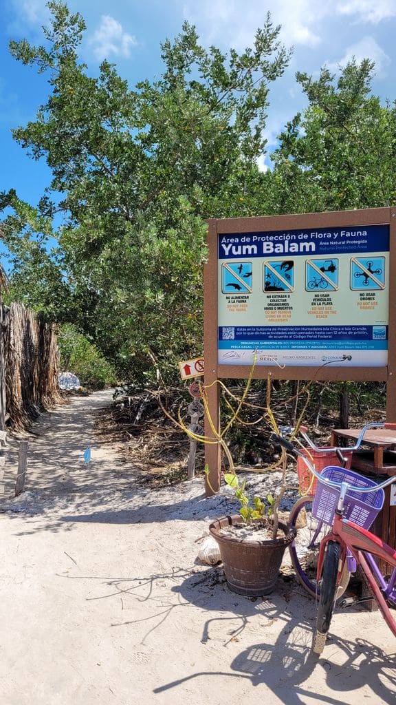 holbox-top-plage-punta-mosquito-6