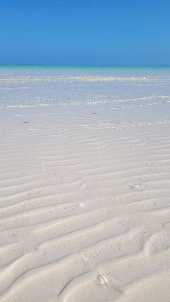 holbox-top-plage-punta-mosquito