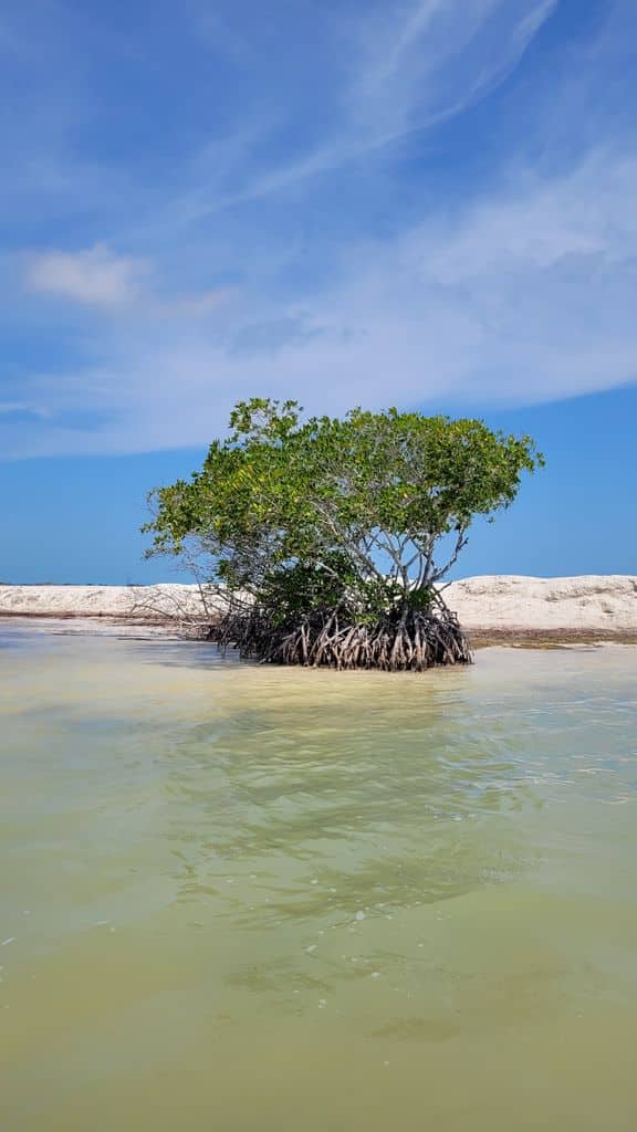 rio-lagartos-mexigotours-9