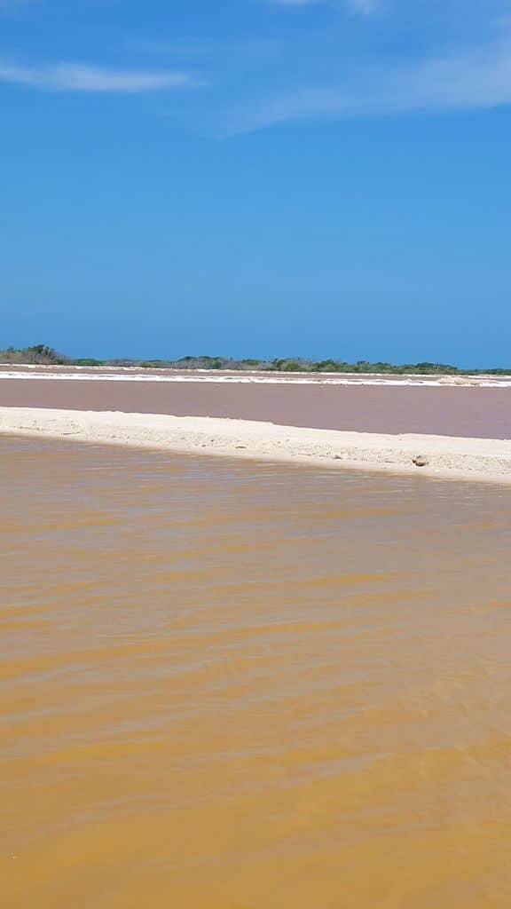 rio-lagartos-mexigotours-las-coloradas