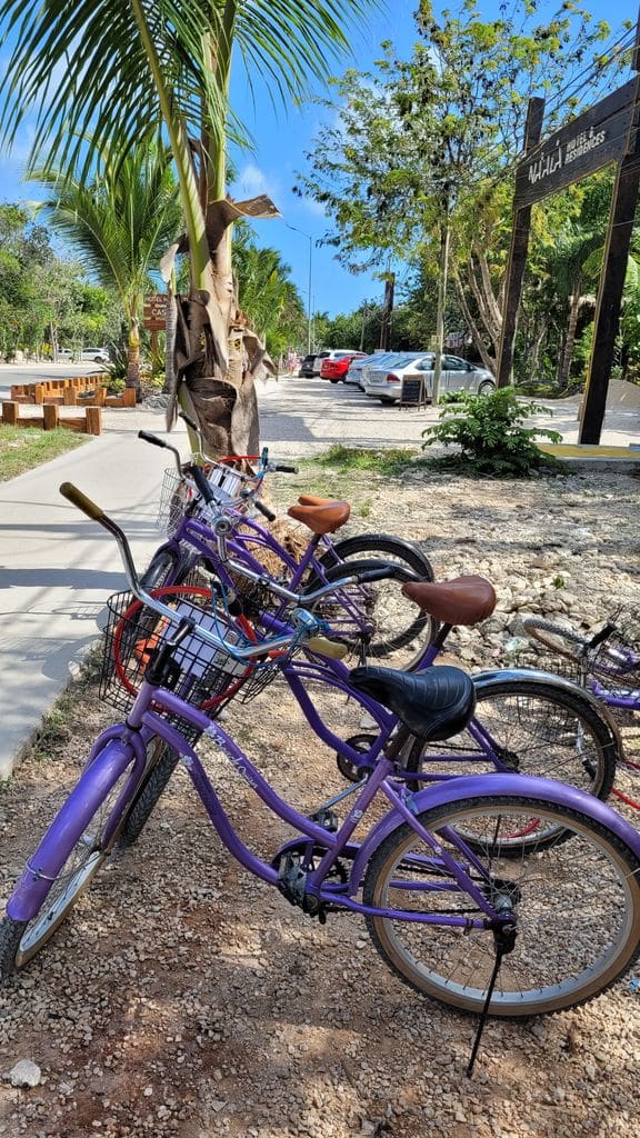 tulum-doggy-bikes