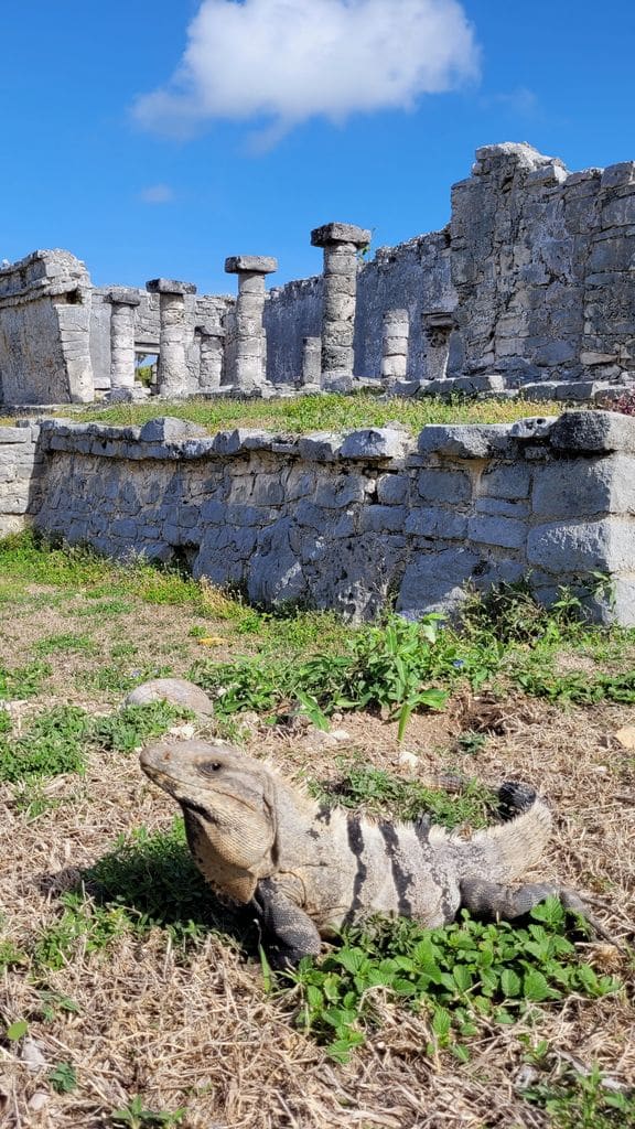 tulum-ruines-maya-5