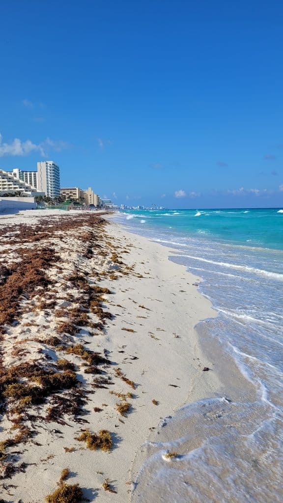 cancun-delfines-playa