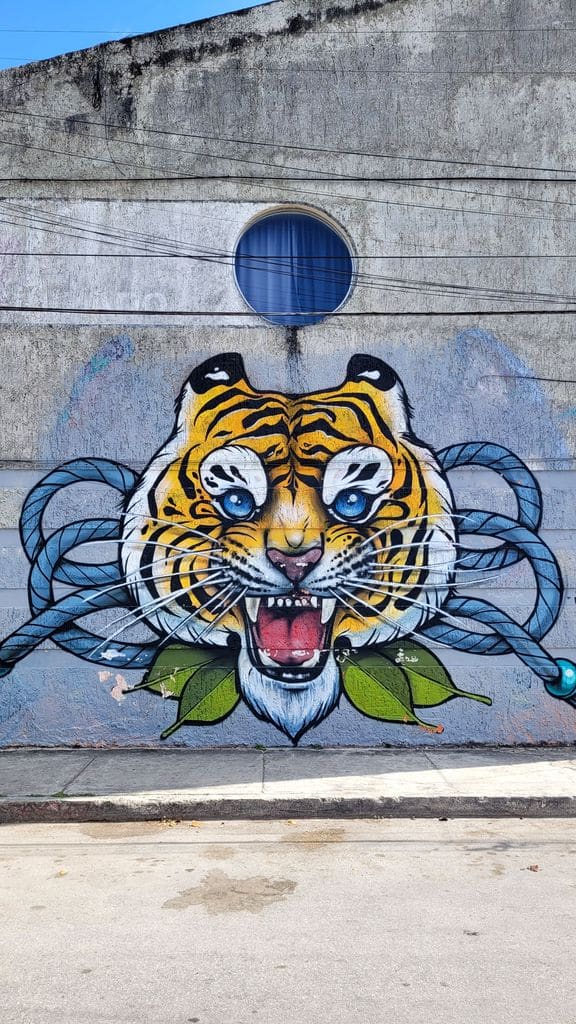 cancun-street-art
