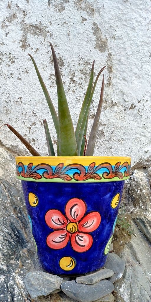 cadaques-pot-fleur-mexicain