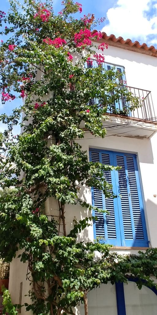 cadaques-visite-bougainvilliers