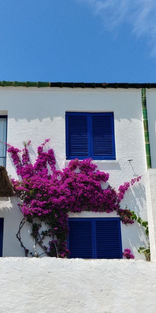 cadaques-week-end-volet-bleu