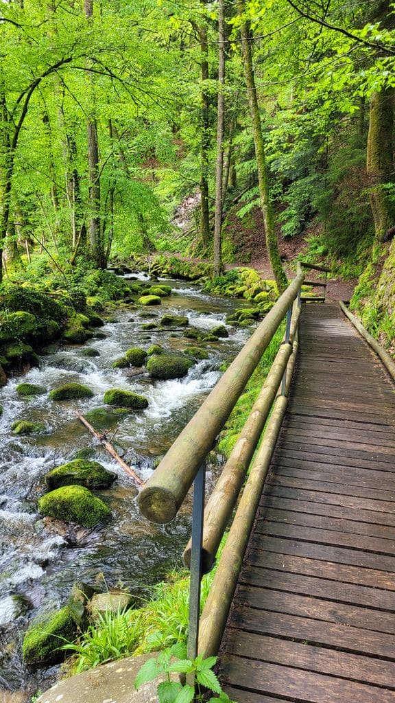 foret-noire-balade-baden-baden