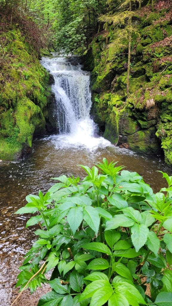 foret-noire-cascade-geroldsau-5