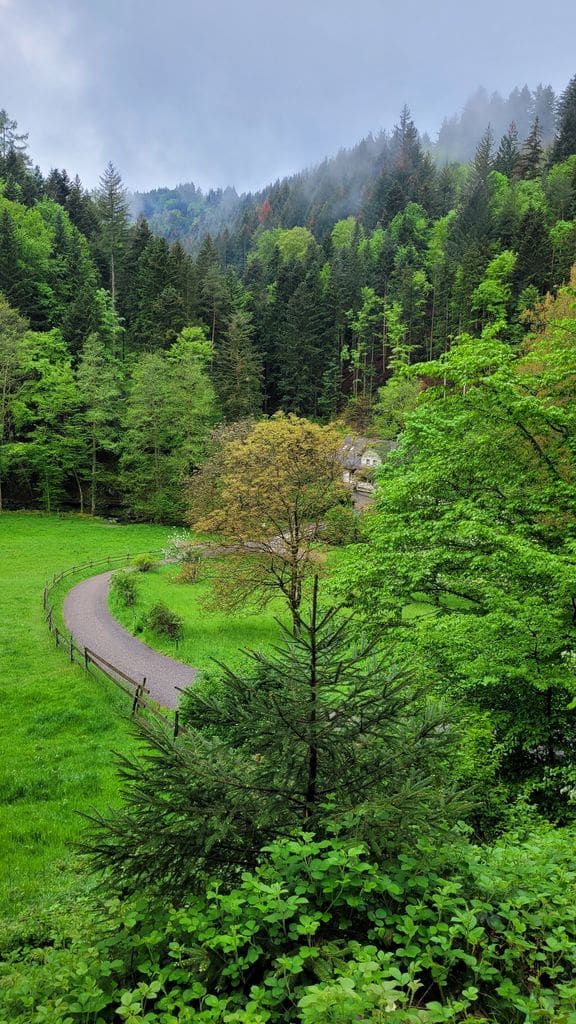 foret-noire-cascade-geroldsau