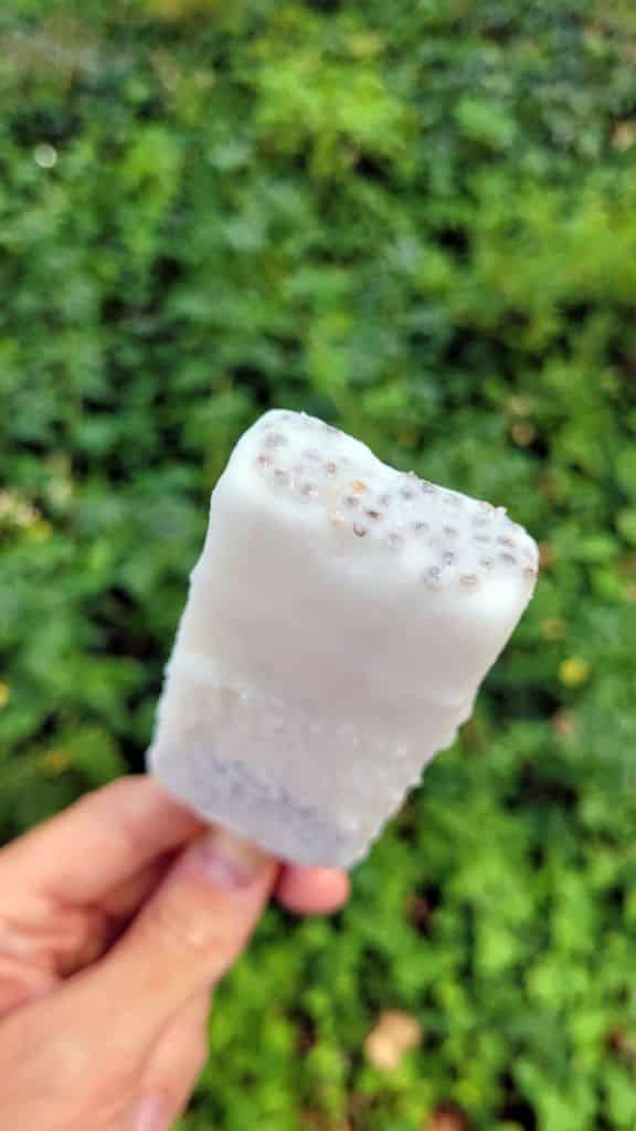 glace-paleta-lyon-villeurbanne