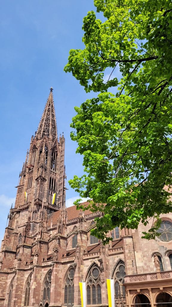 visiter-freiburg-allemagne-cathedrale