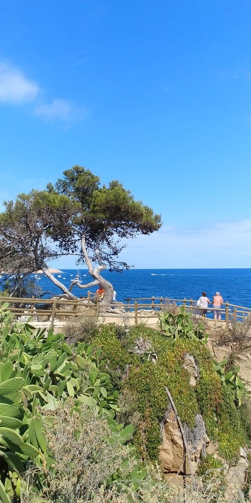 calella-de-palafrugell-balade-mer