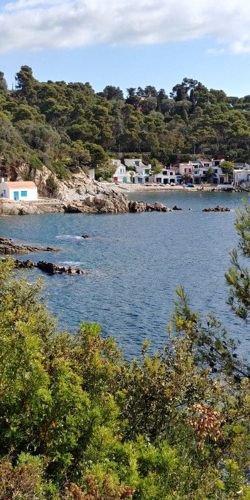 playa-s-alguer-costa-brava