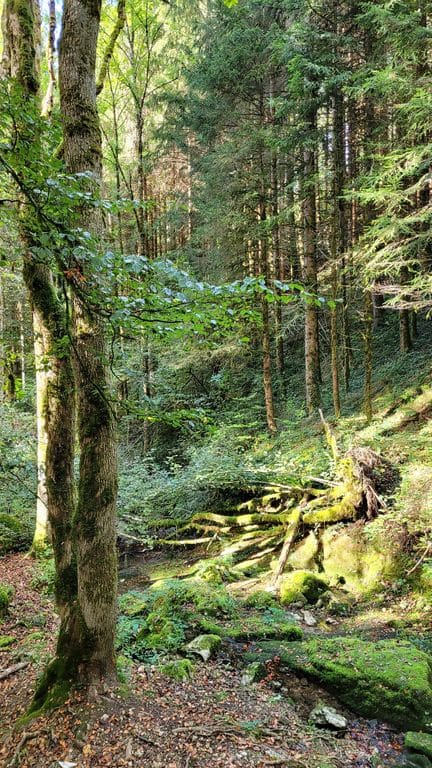 cascade-de-la-fronde-idee-balade