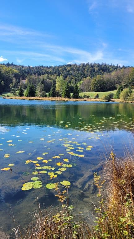 lac-genin-que-faire