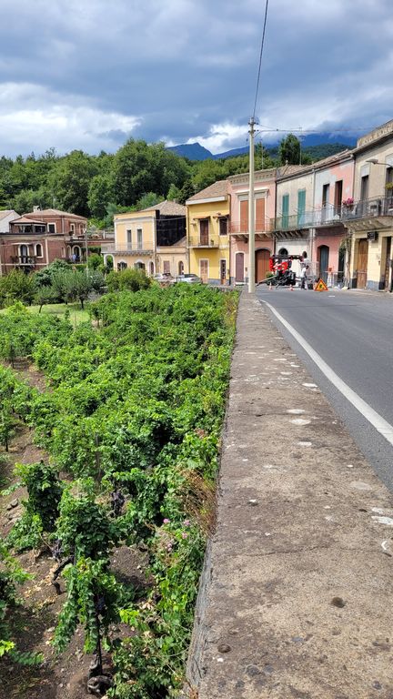 road-trip-sicile-etna-8