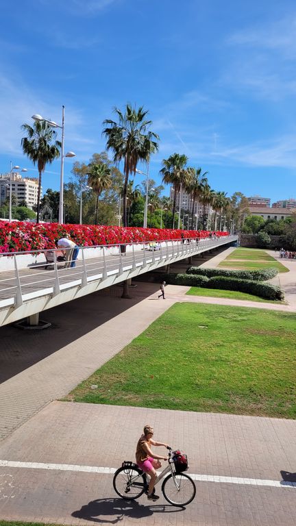 top-visite-valence-flores