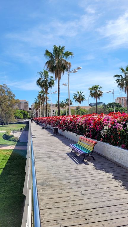 top-visite-valence-puente-las-flores