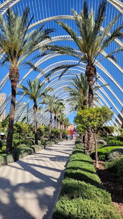 umbracle-valence-jardin