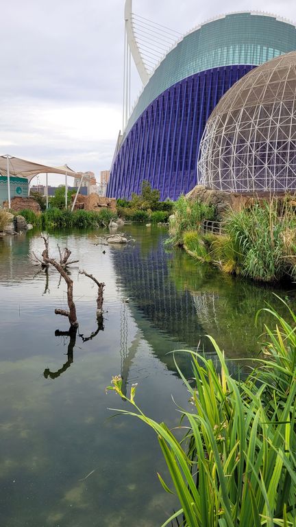 valence-aquarium-oceanografic-10