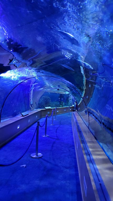 valence-aquarium-oceanografic-3