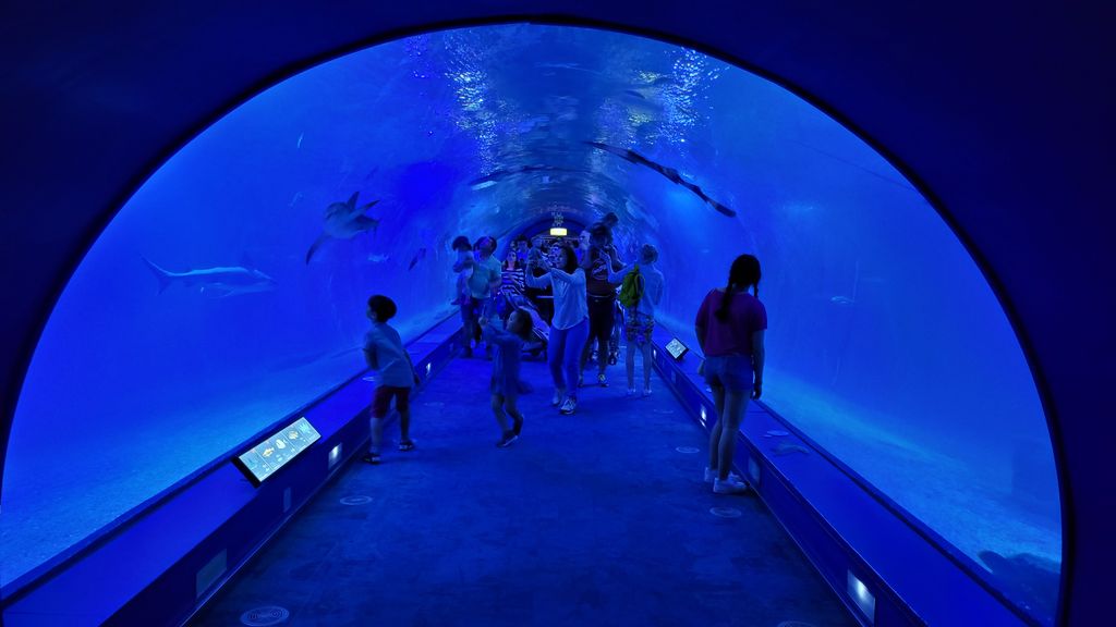 valence-aquarium-oceanografic-9