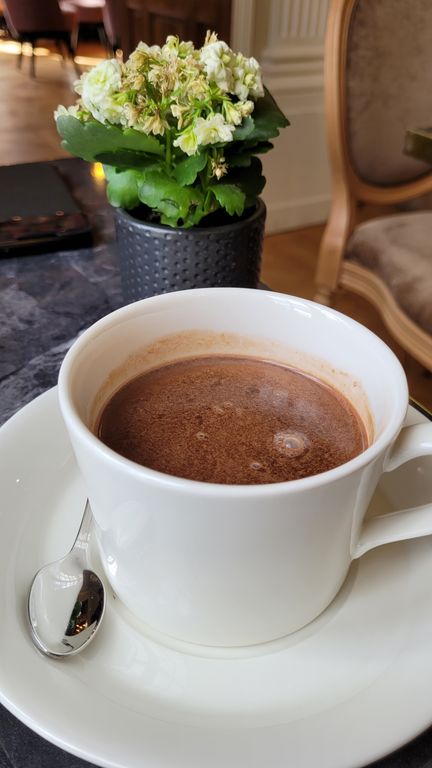 chocolat-chaud-lyon-cfa-gastronomie