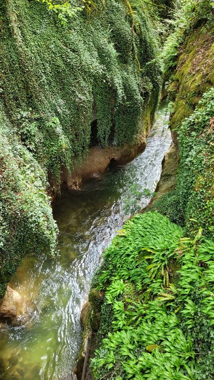 gorges-du-sierroz-balade-nature