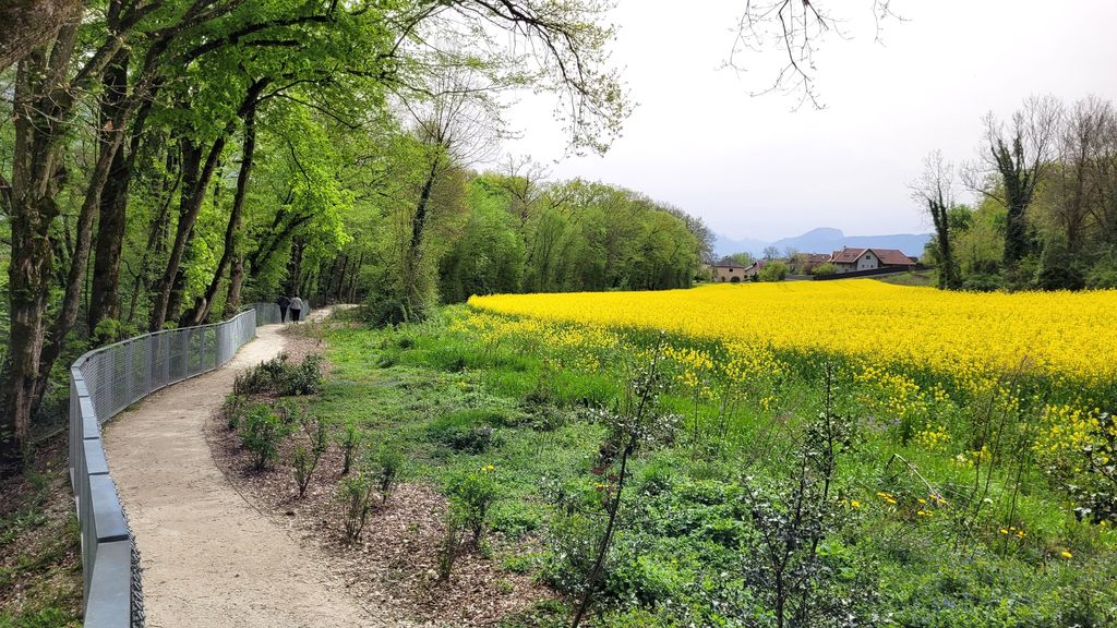 gorges-du-sierroz-balade