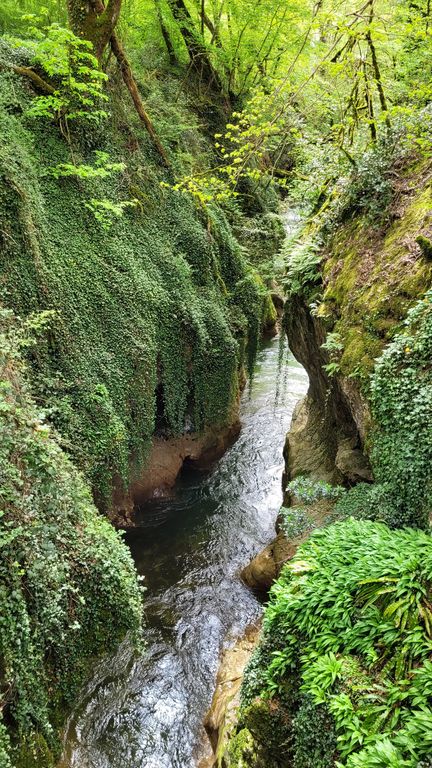 gorges-du-sierroz-canyon