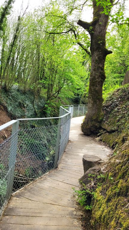 gorges-du-sierroz-passerelle